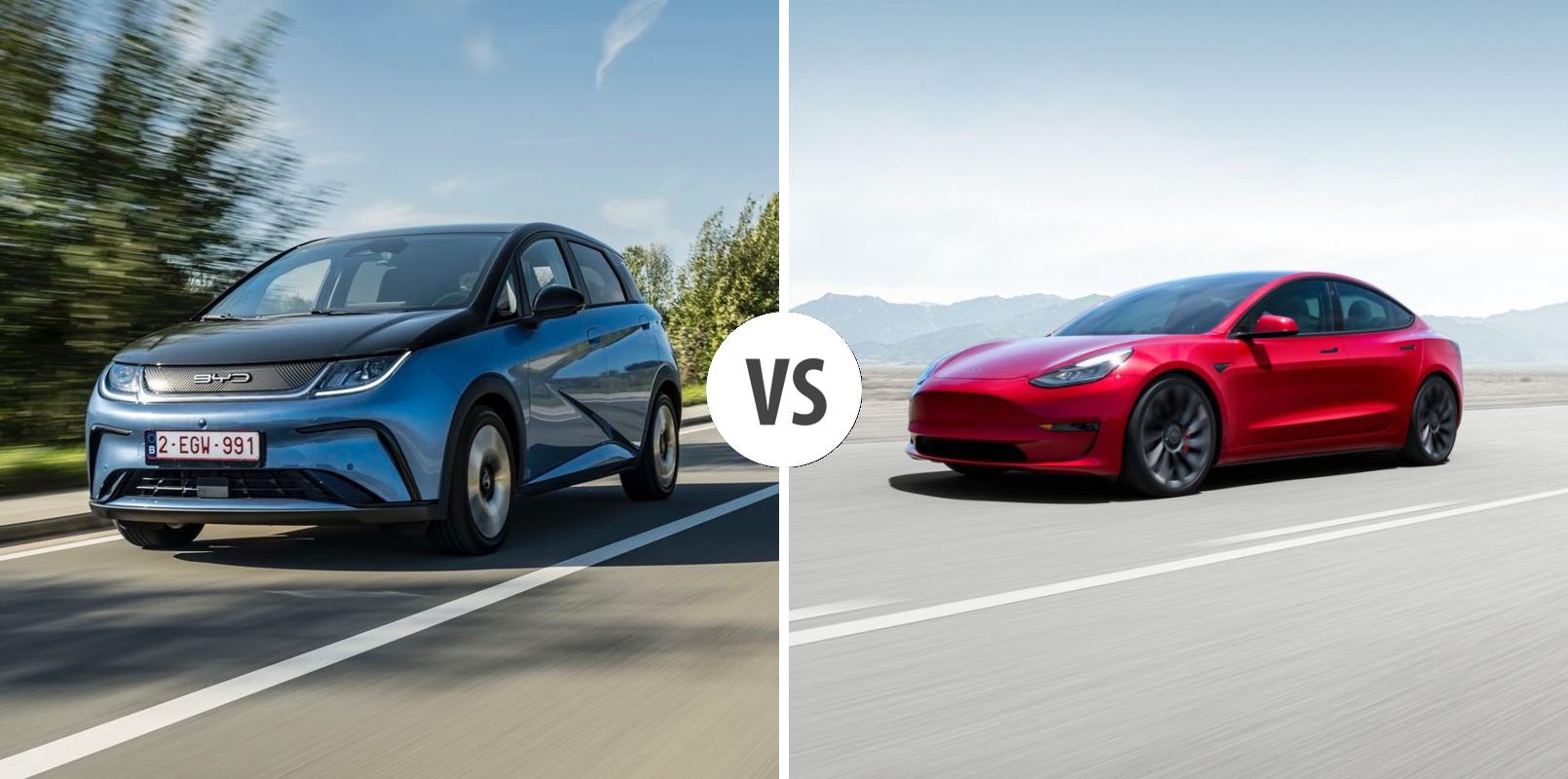 BYD Dolphin Mini vs Tesla Model comparison The Regulatory Tightrope